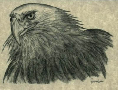 Eagle - the Messenger, by Andrea Leake of Salt Spring Island, BC.